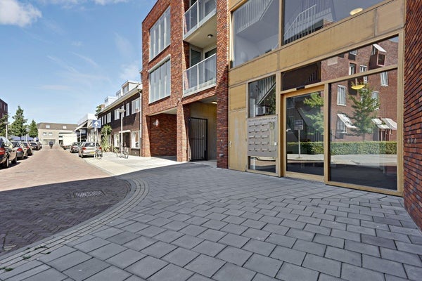 Paulus Potterstraat