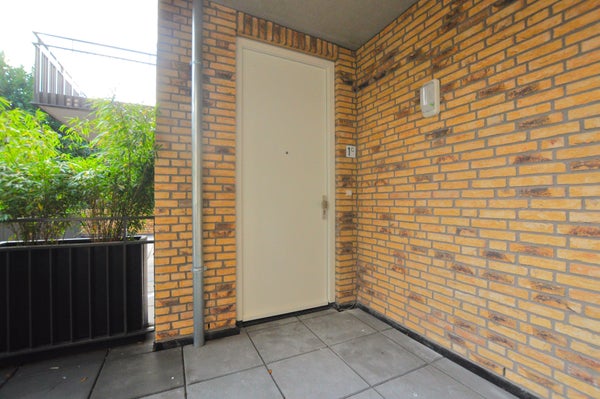 van Brakelstraat