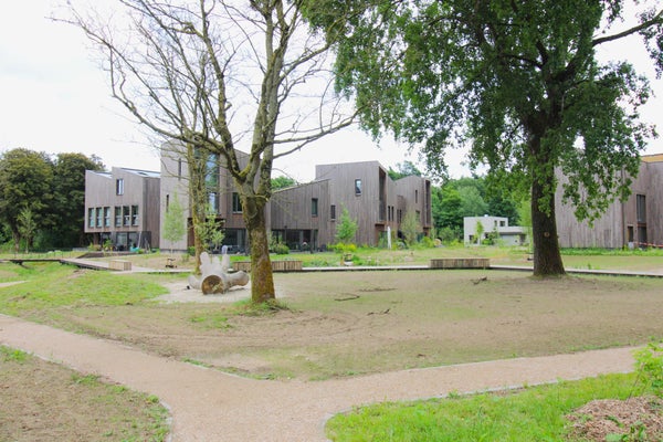 Bosuil
