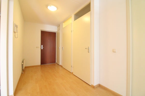Lichtstraat