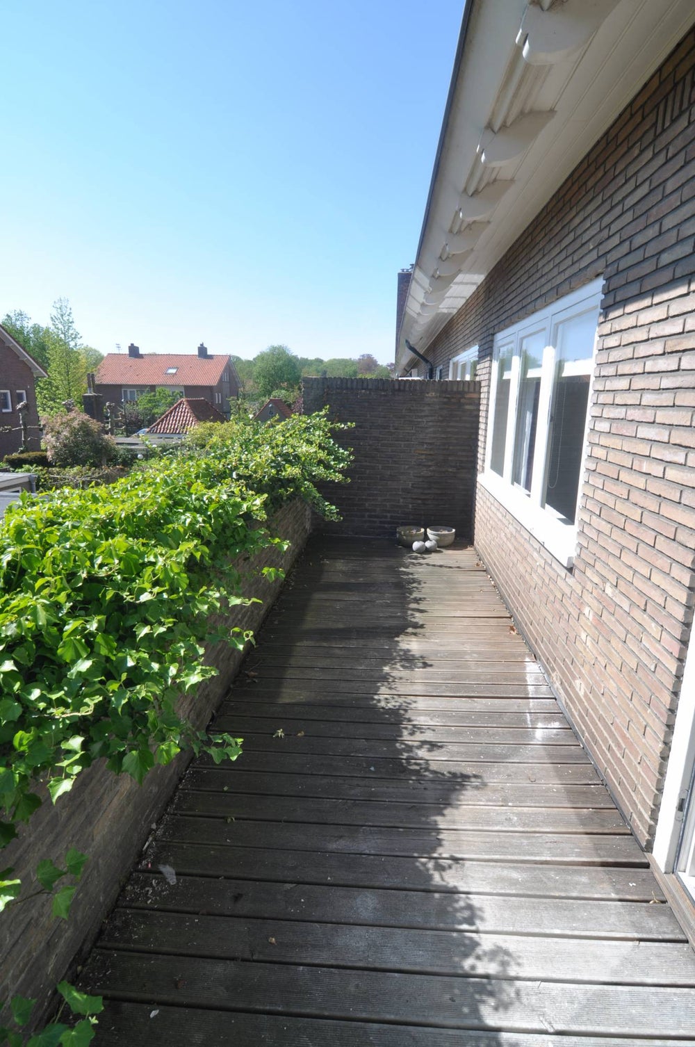 Image 19