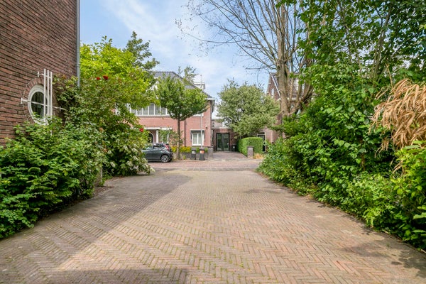 Pelikaanstraat