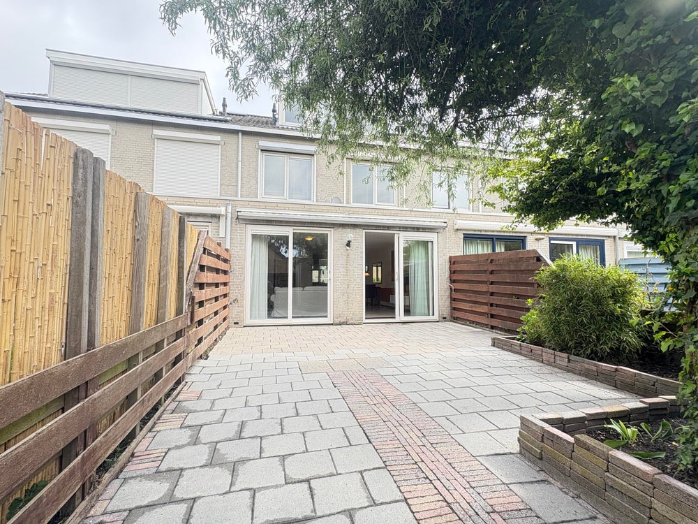 Image 7