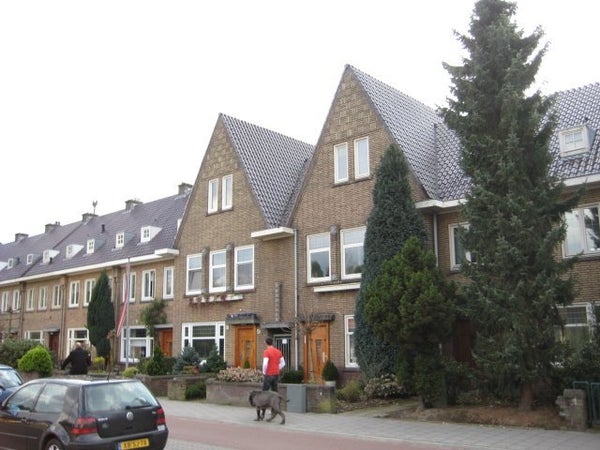 Boschdijk