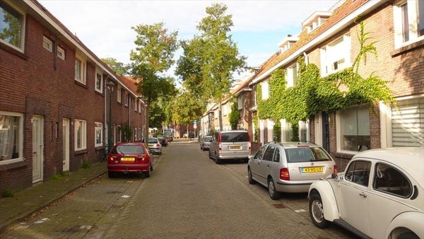 Ranonkelstraat