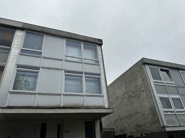 free-sector-houses for rent on Nederlandlaan