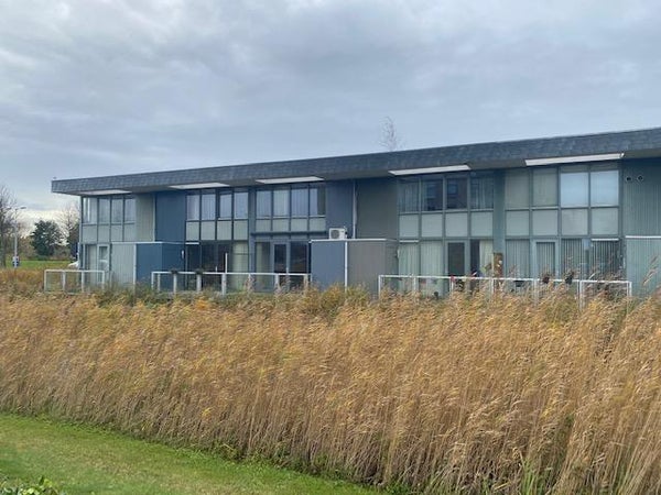 Vuurboetsduin