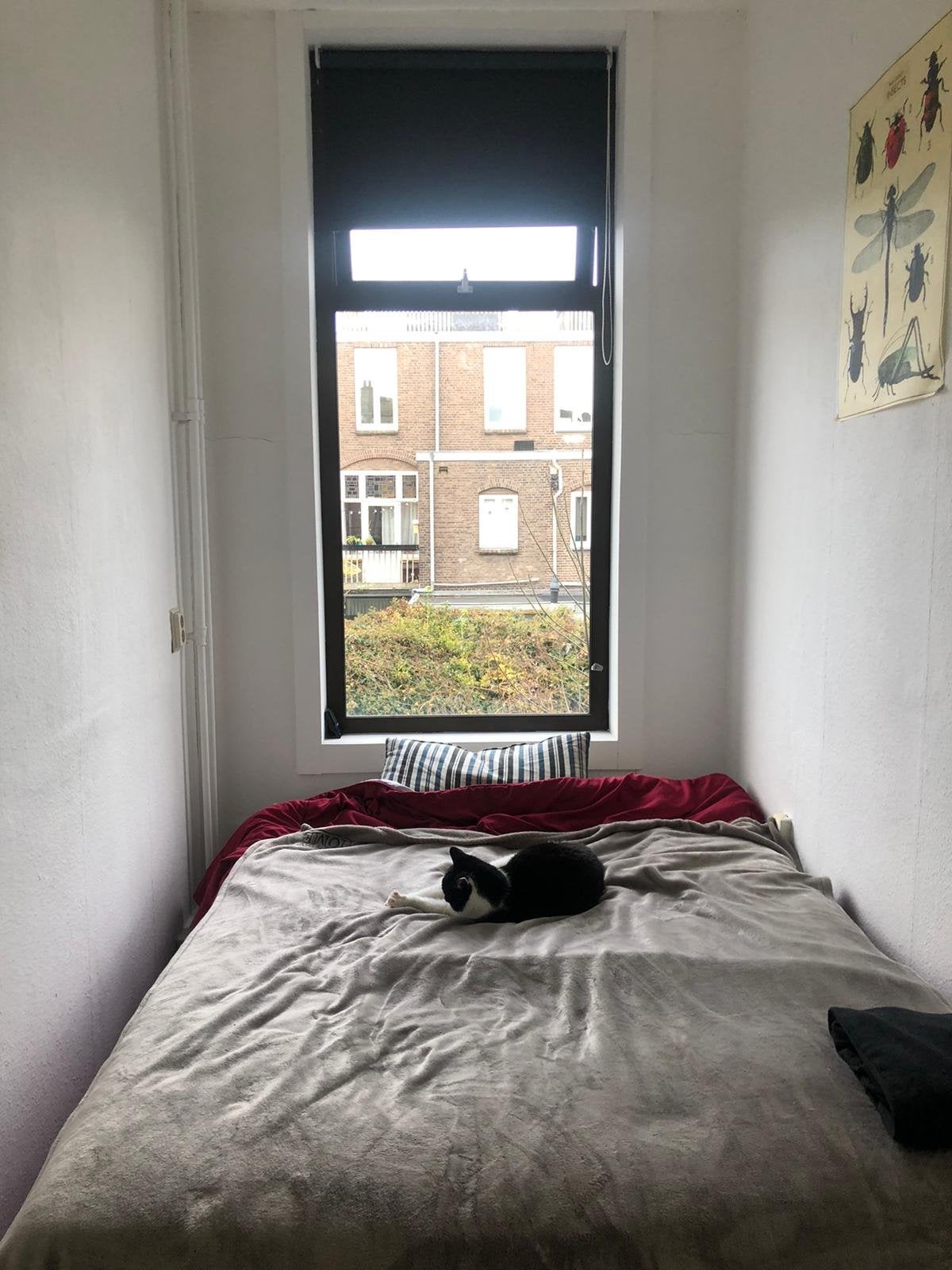 Bekijk for 1/10 van apartment in Utrecht