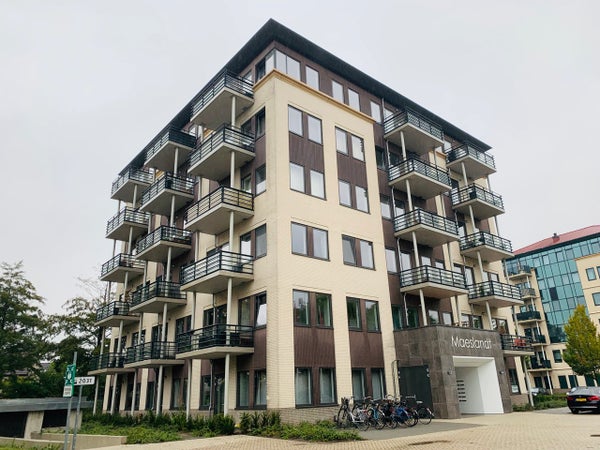 Goudsbloemvallei 38 F, Den Bosch