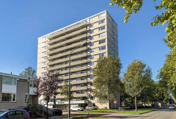 homes for rent on Ovidiuslaan