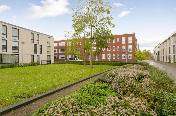 apartments for rent on Willem Hubertstraat