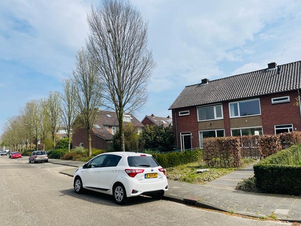 Cypressenlaan, Sint-Michielsgestel
