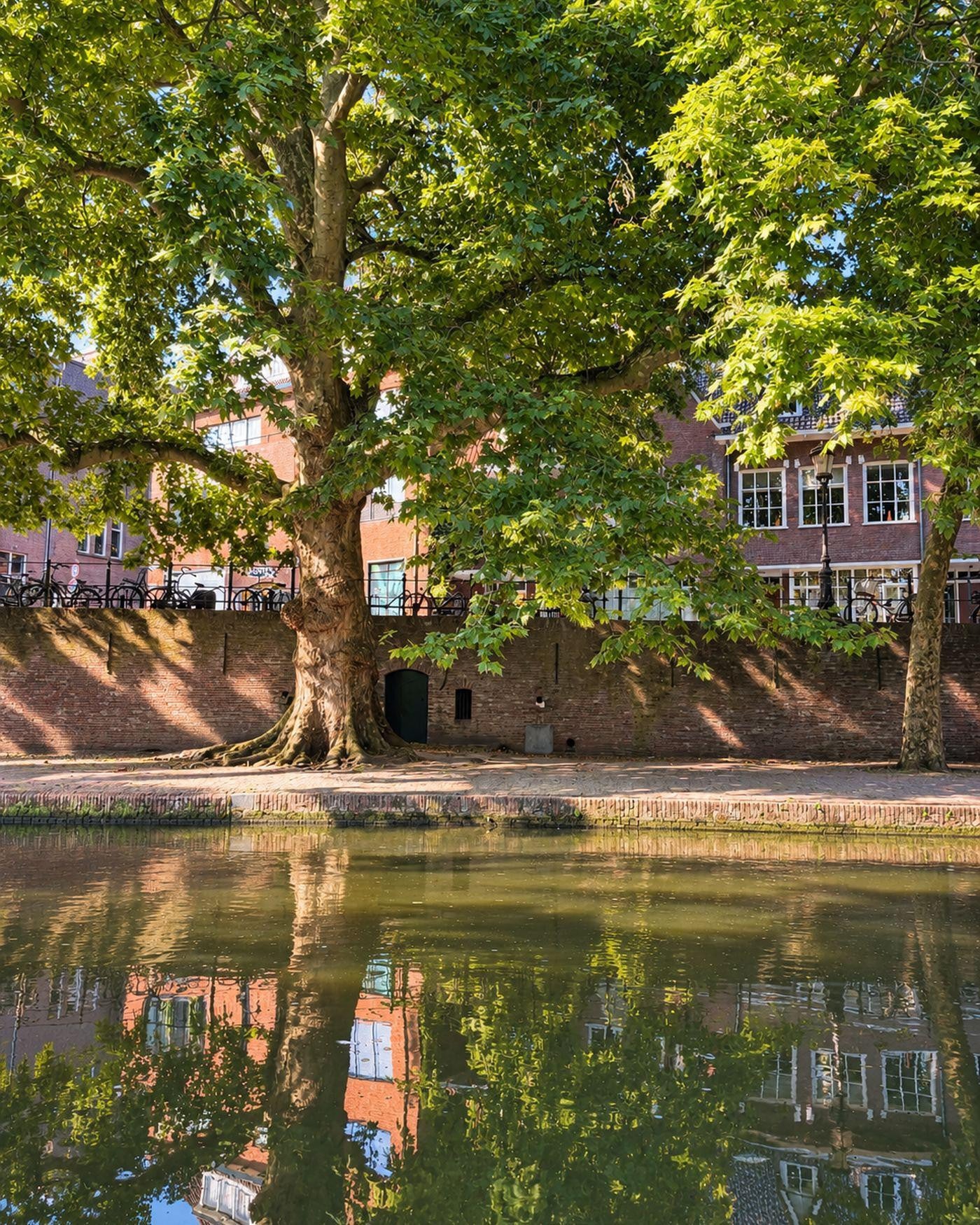 Oudegracht aan de Werf 425, Utrecht