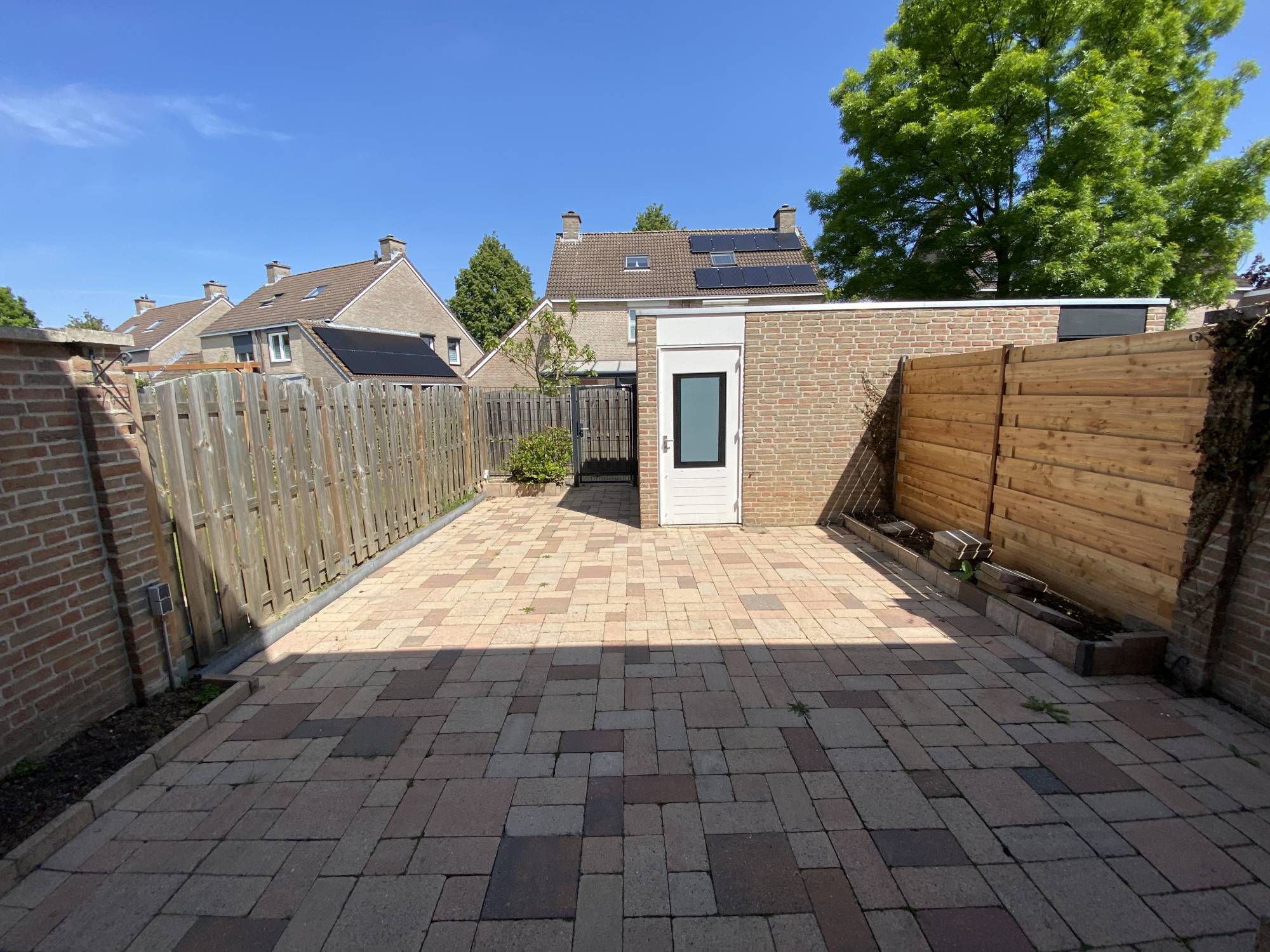 Image 20