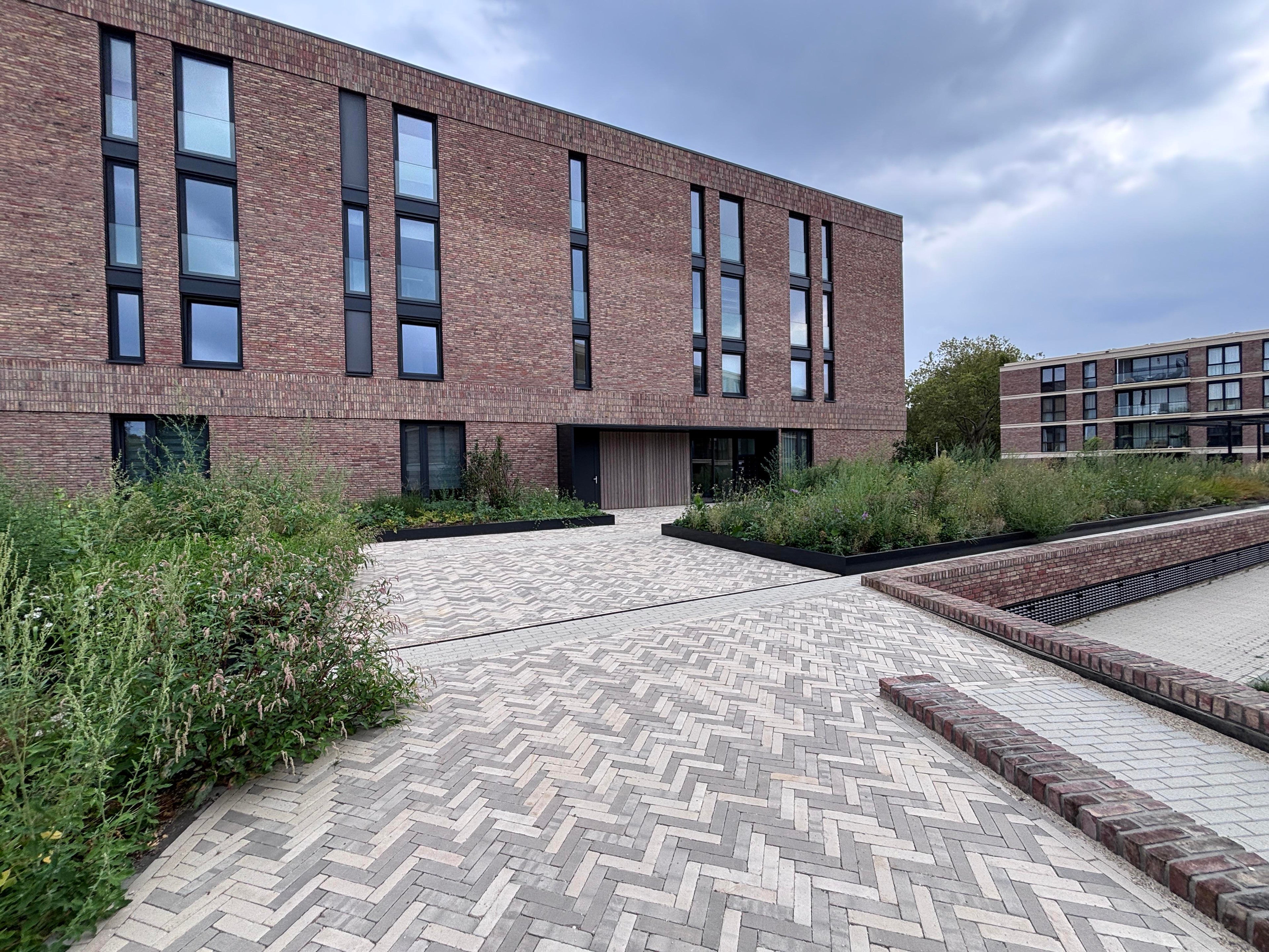 free-sector-houses for rent on Olympiapad