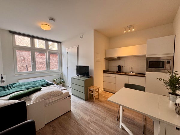 studios te huur op Wycker Grachtstraat
