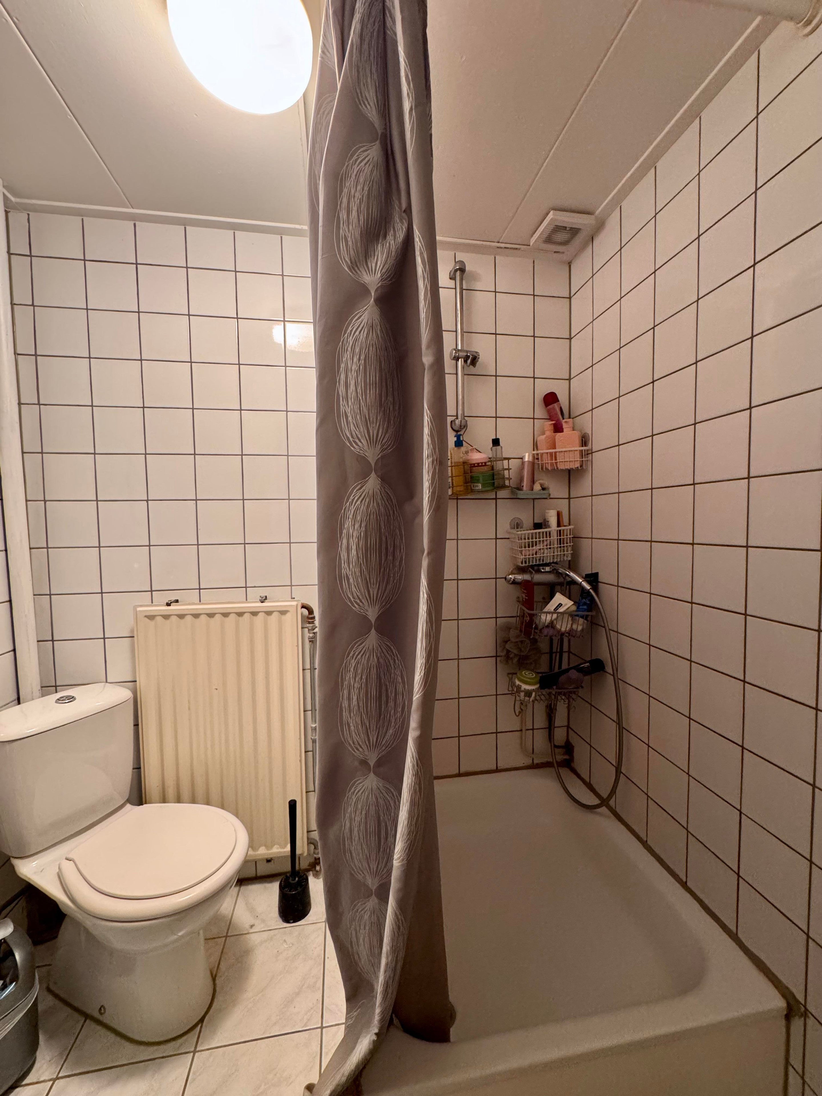 Image 10