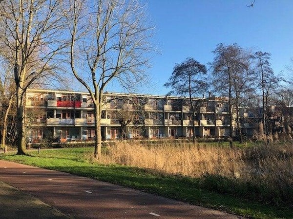 Lichtboei, Groningen