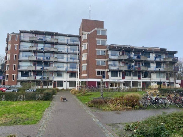 Trosdravik, Leeuwarden