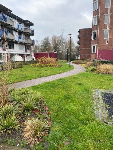 Trosdravik, Leeuwarden