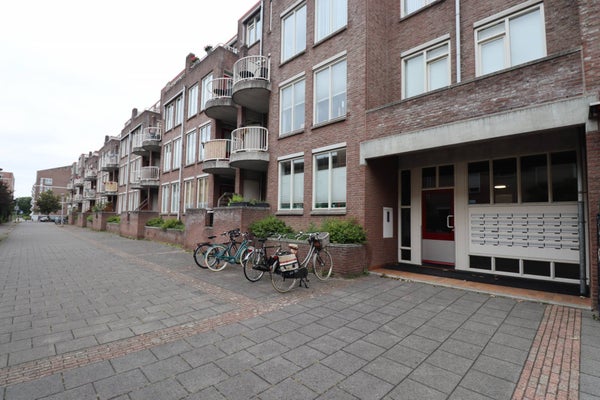 homes for rent on Erasmusdomein