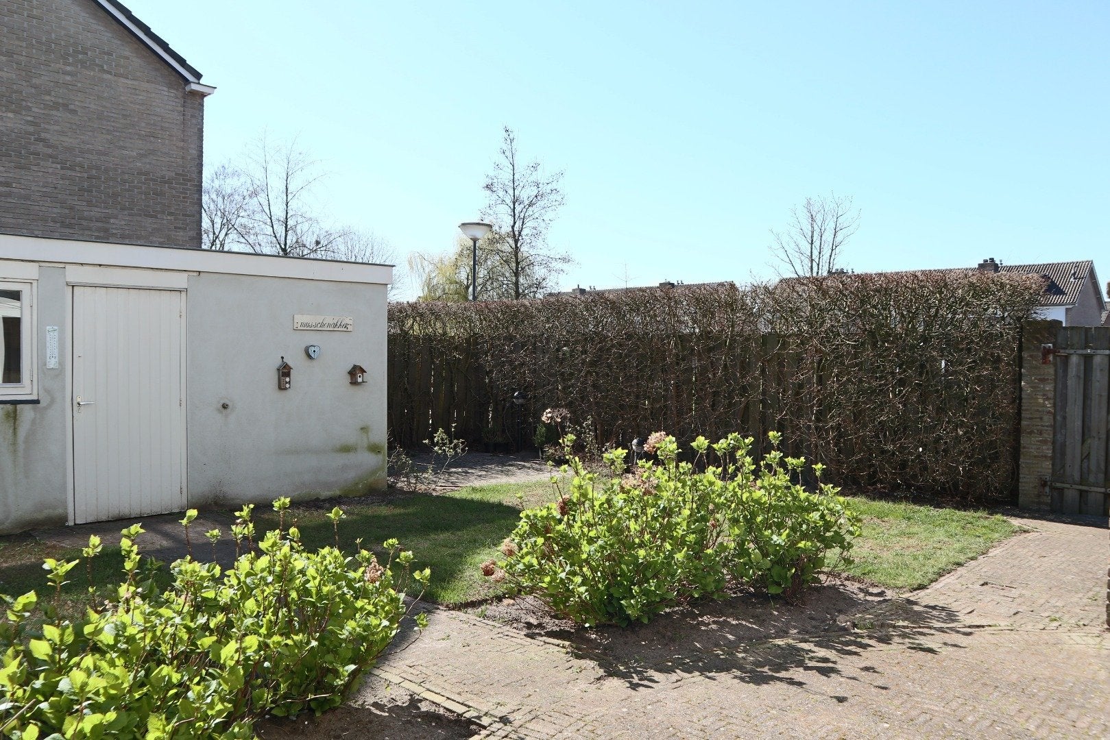 Image 12