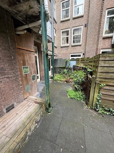 Image 13