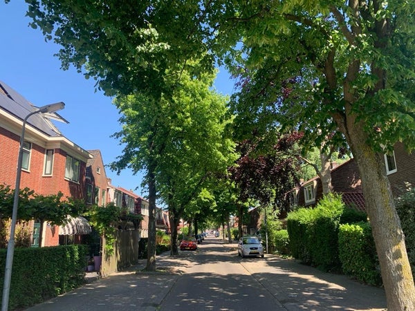 private-rentals for rent on Hyacintstraat