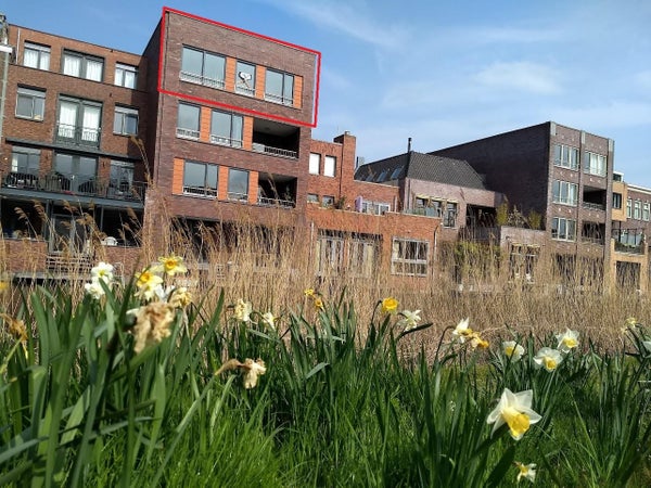 private-rentals for rent on Tornemeer