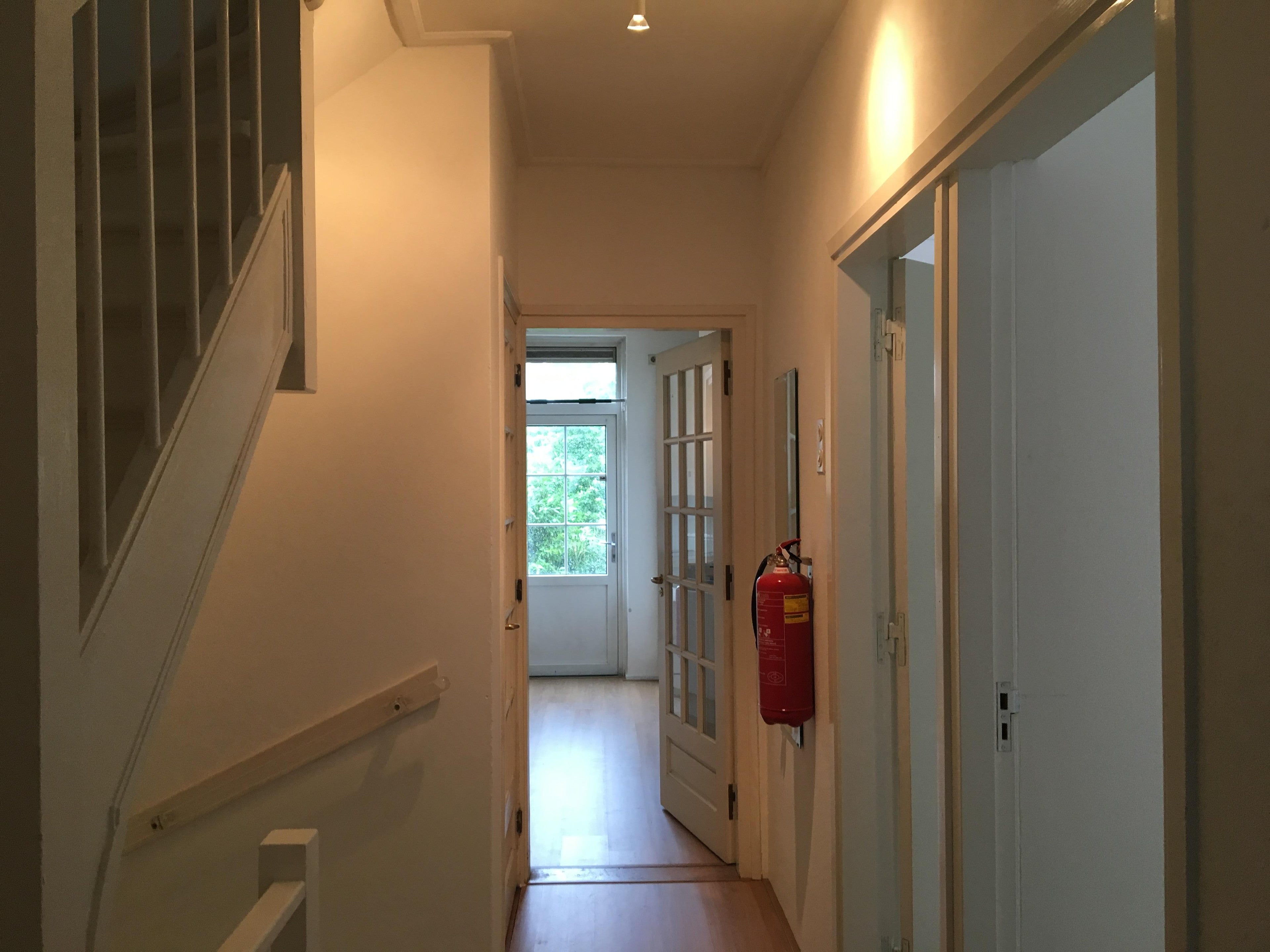 Image 10