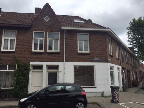 Pieter Breughelstraat