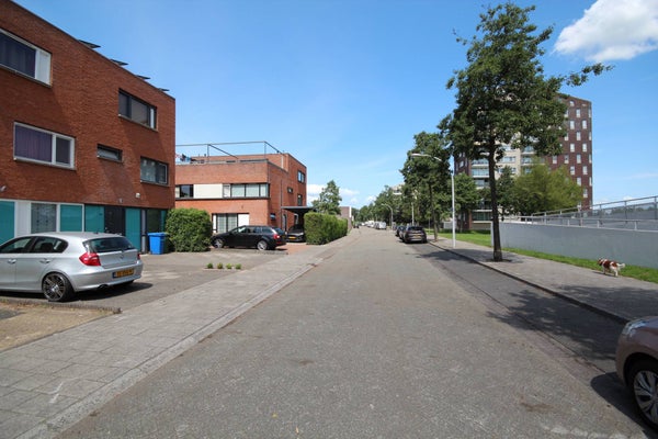 Beeldsnijderstraat, Zwolle