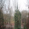 Witteveen, Ruinen