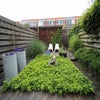 Tuinwal, Zwolle