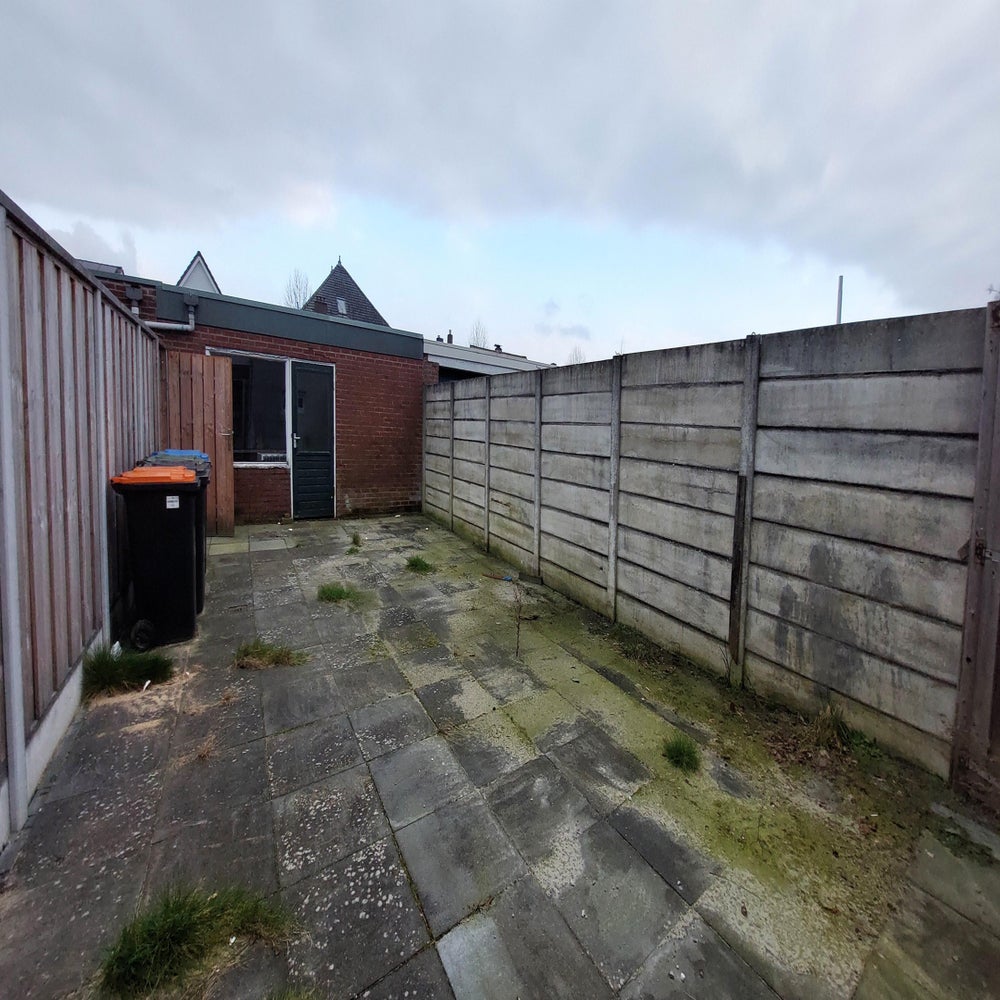 Image 8