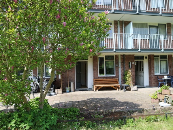 free-sector-houses for rent on Briljantlaan