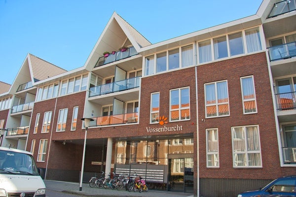 Hamsterstraat 65