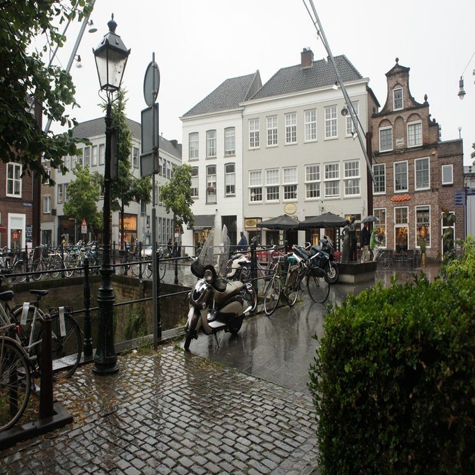 Image 13