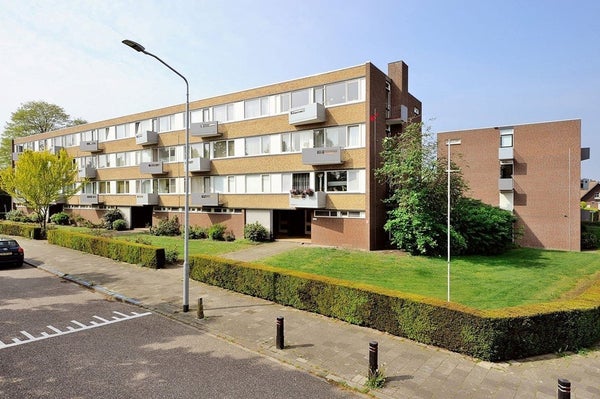 apartments for rent on Hogeschoorweg