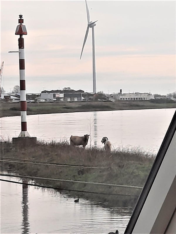 Westervoortsedijk 94 B, Arnhem