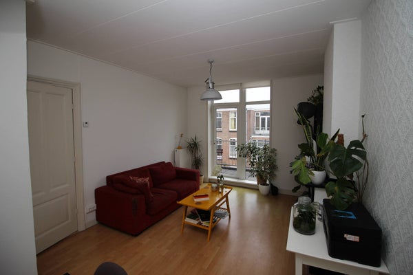 Buijs Ballotstraat