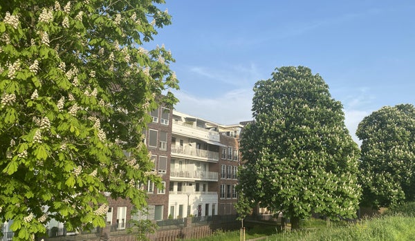 vrije-sector-woningen te huur op Zwaanswal