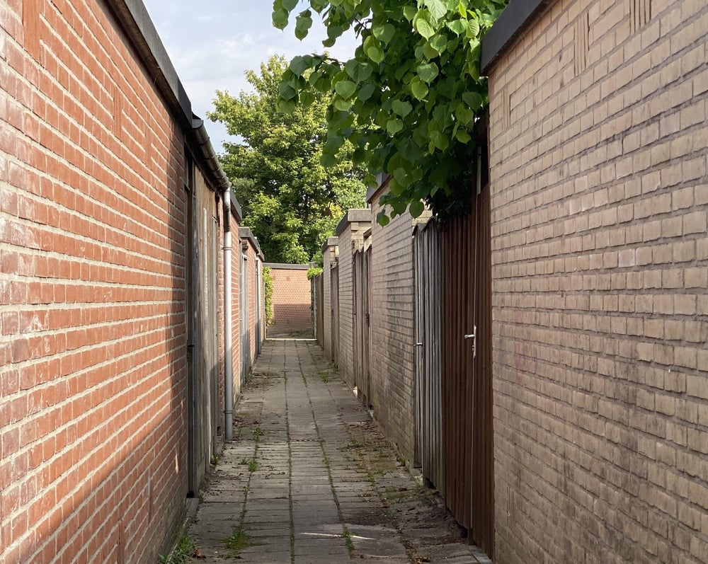 Image 50