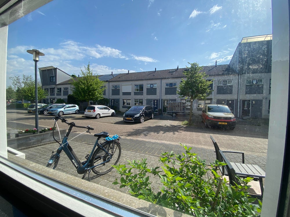 Image 20