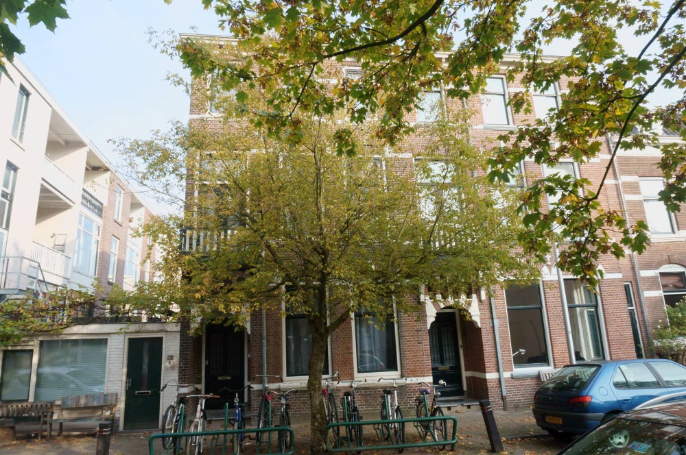 private-rentals for rent on Cornelis Evertsenstraat