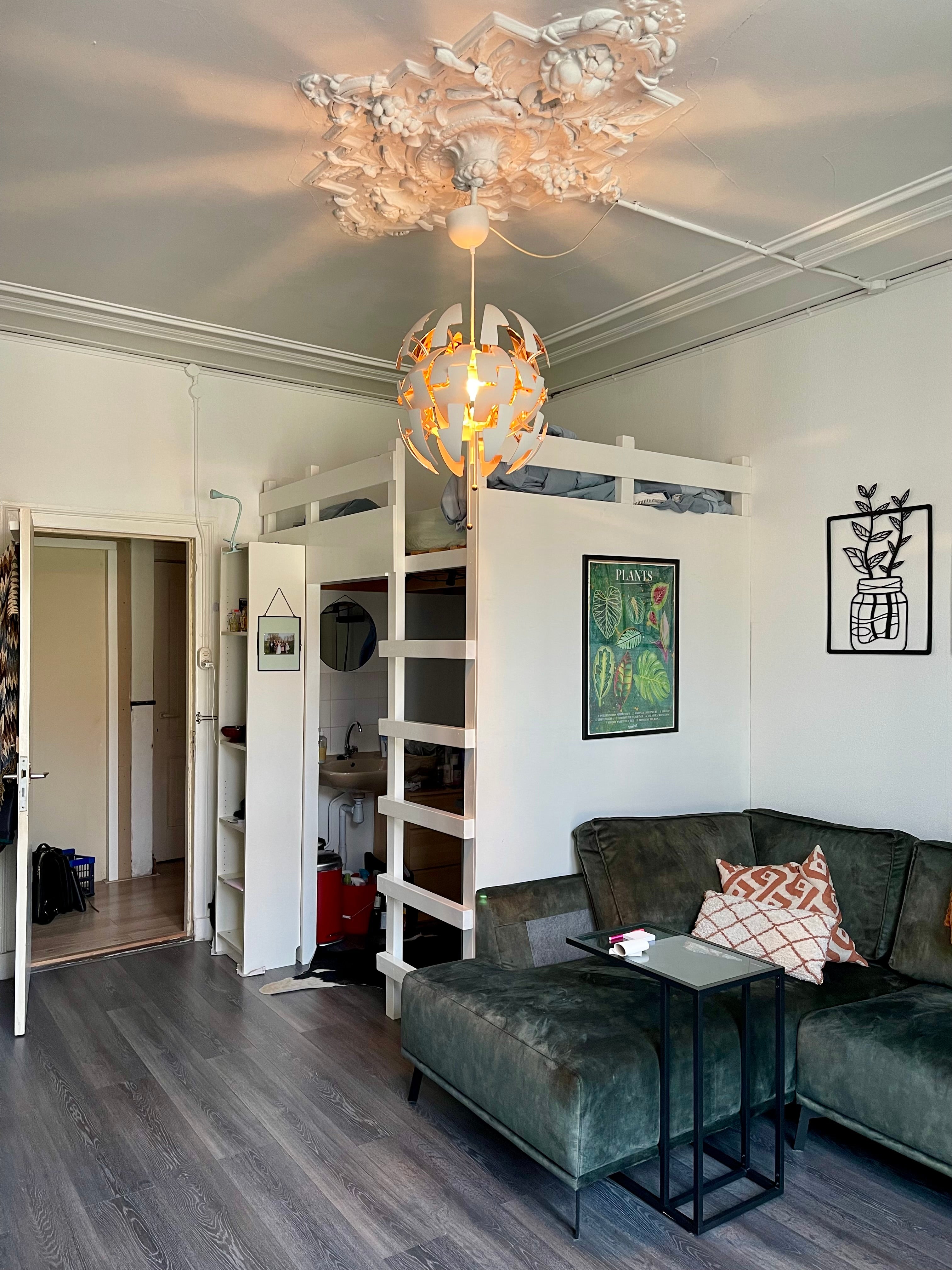 Bekijk for 1/11 van apartment in Haarlem