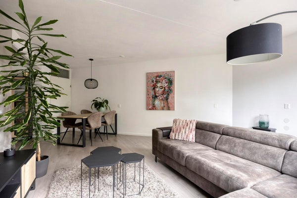 Schapendreef, Rotterdam