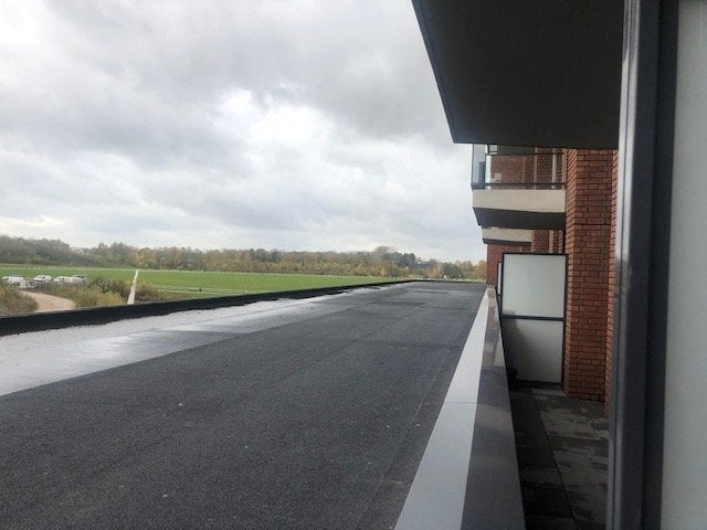 Image 20