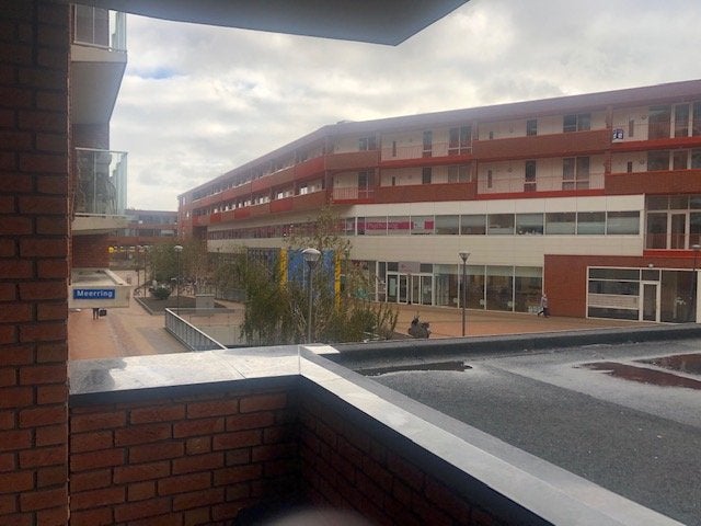 Image 21