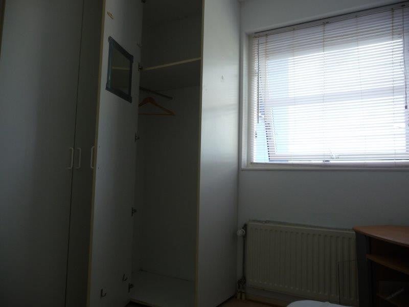 Image 15